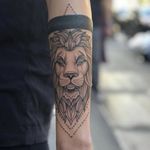 #Lion tattoo by Joey #blacklinework