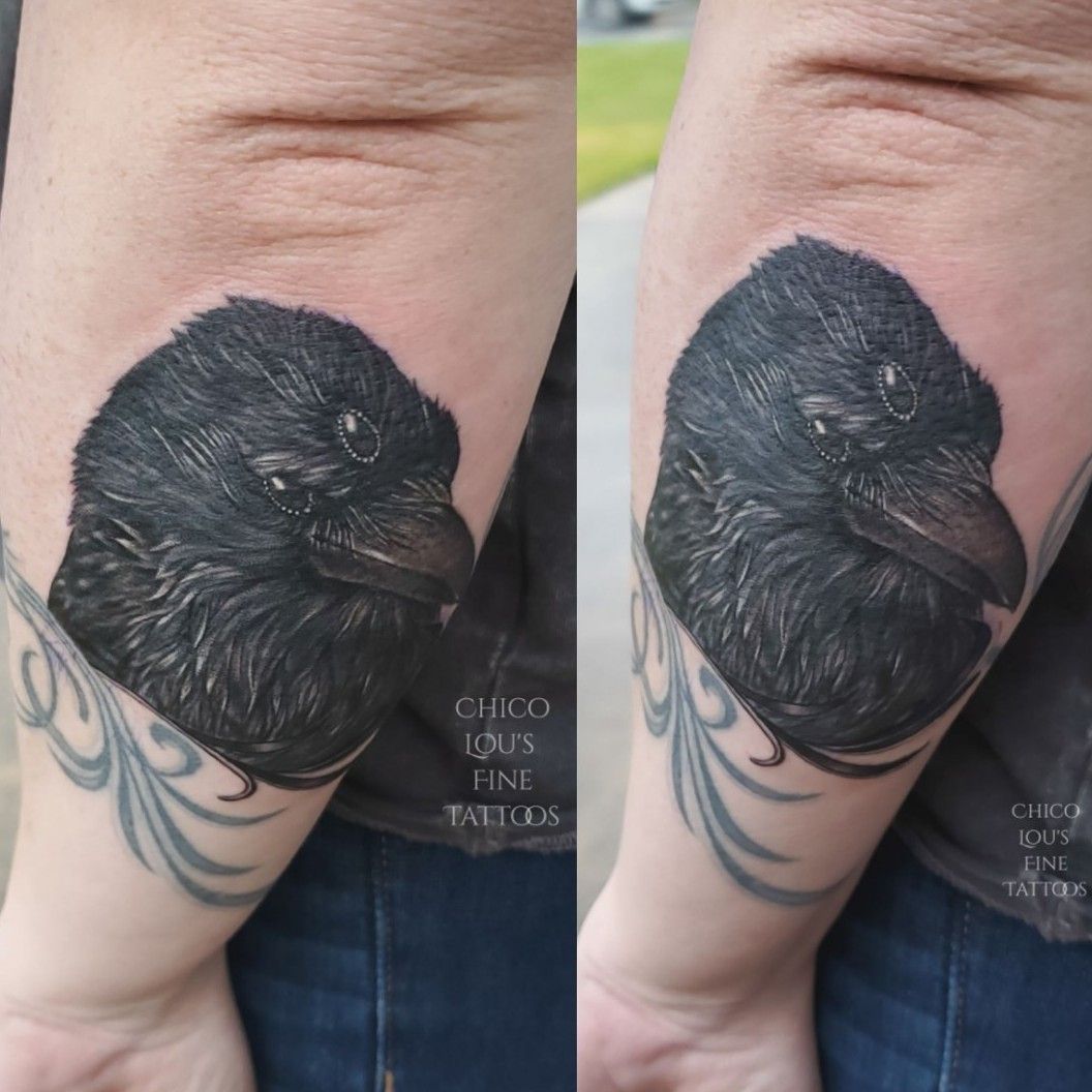 𝖘𝖍𝖆𝖚𝖓  on Twitter My back the 3 eyed Raven from Game of Thrones  Definitely my favorite show of all time hoping to make my back a full Game  of Thrones piece