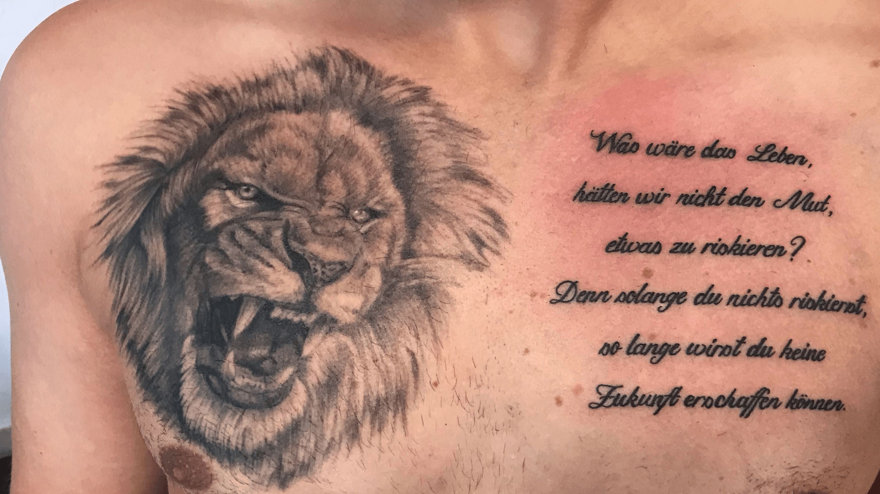 Lion Tattoo Roaring Panthera Leo Lion Dennings Lion Roaring Tattoo  Lion  poster Lion quotes Lions