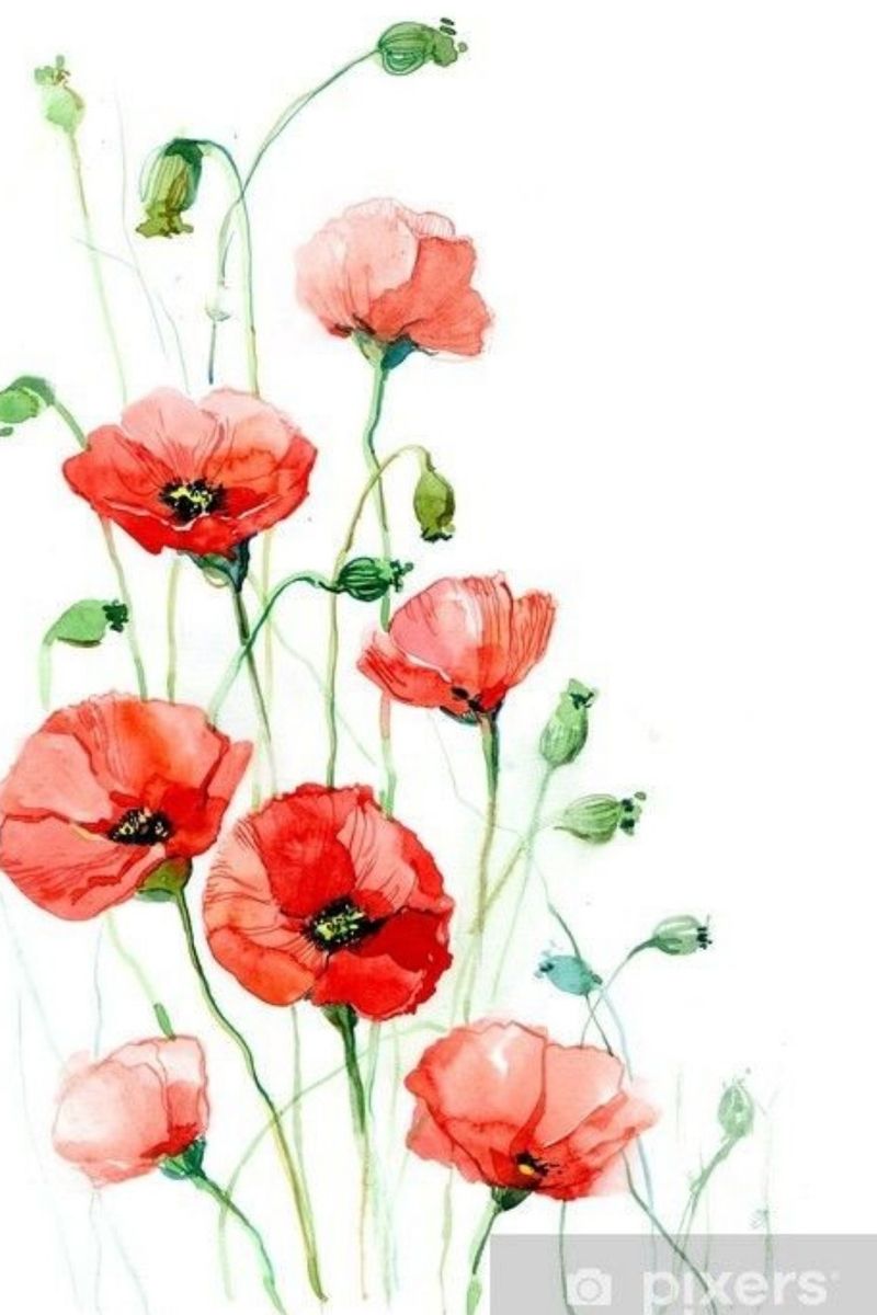 Tattoo uploaded by Amy Baldwin • Poppies for remembrance • Tattoodo
