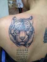 #tiger tattoo##Respond tattoo#