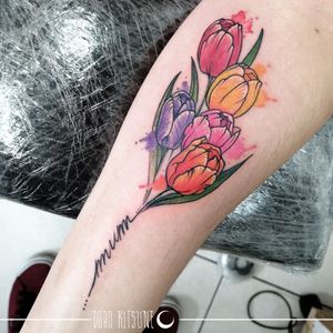 Tulip tulipani watercolor
