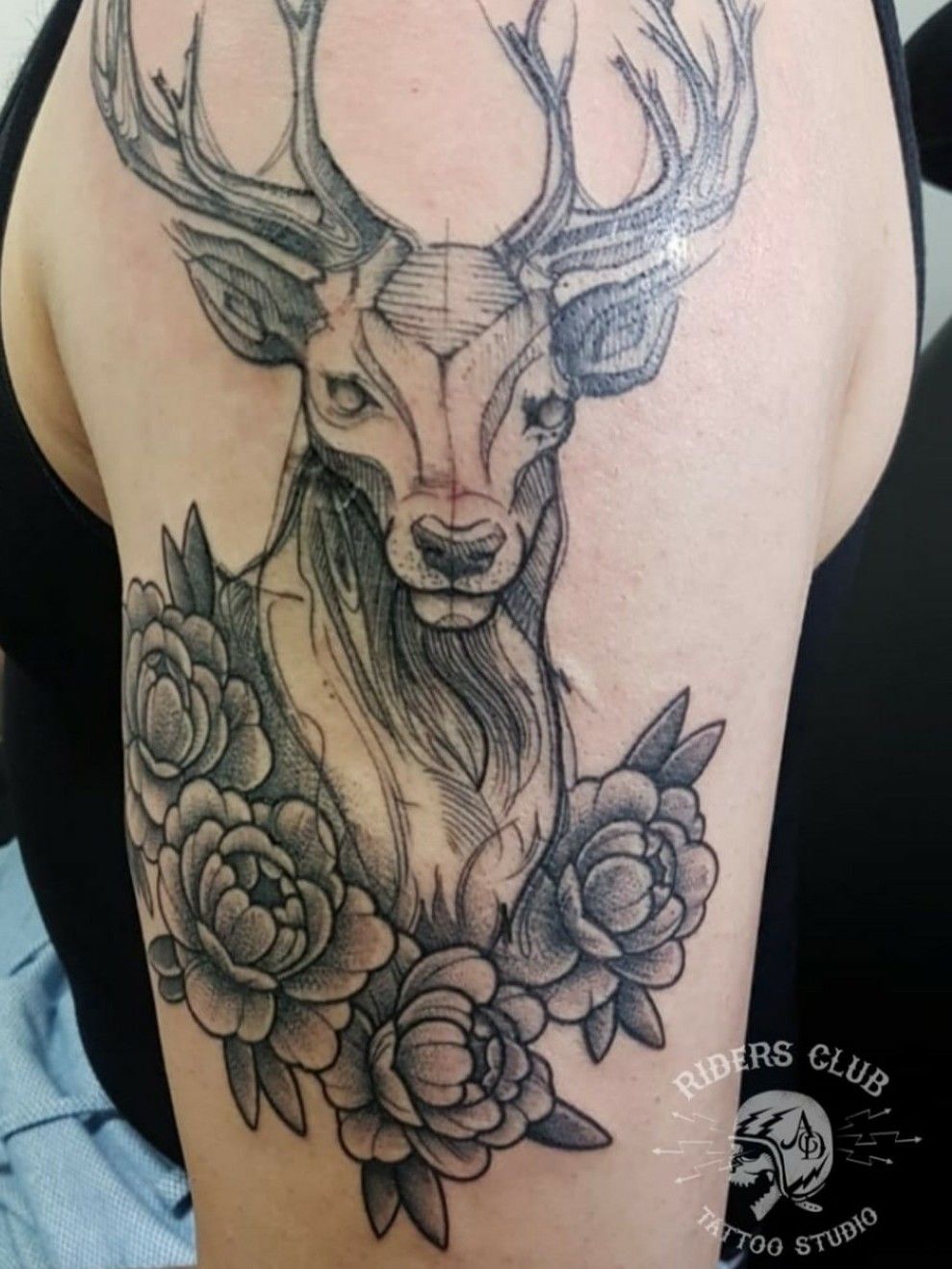 Elk Deer Moose Tattoo deer antler mammal png  PNGEgg