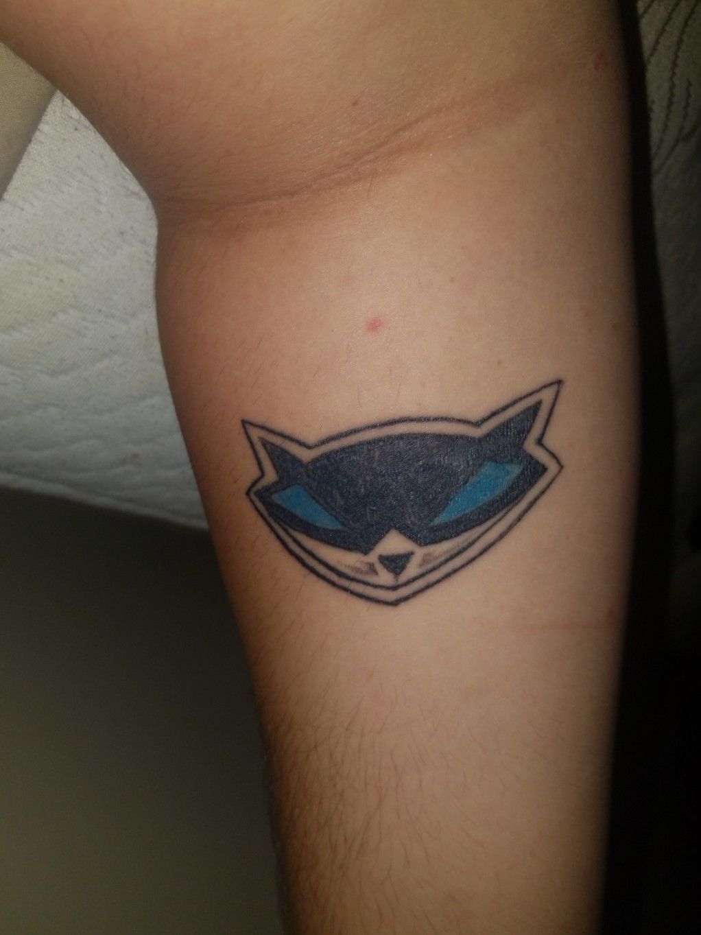 One of the first tattoos I ever got Sly cooper basically raised me and  the whole series will always be my favourite game Thinking of another sly  related tattoo soon cane probably 