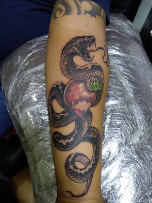 #snake and apple#