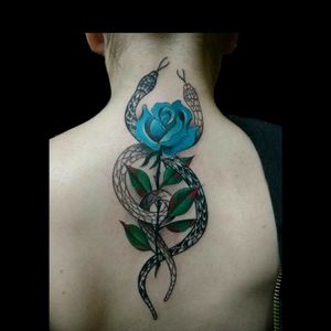Salio ese del dia.. 😊  #hempink #tattoo #inked #ink #rose #snakes #snake #snakestattoo #tatuajesdeserpientes #tatuajesderosas #rosaconserpientes #black #color  #luchotattoo #luchotattooer #pergamino #buenosaires #argentina