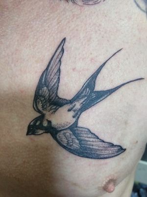 #bird for freedom##Respond tattoo#