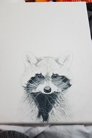 Heres a commisioned greyscale realism raccoon done for a nursery 😊 
