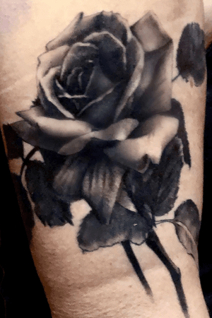 #rosetattoo #rose #tats #freshink #smooth  #blackandgrey #bishoprotary #bishopbrigade #tattoodo #tattoo #realistictattoo #ink #inked #inkedup #blackandgreytattoo #sandiego #sandiegotattoo #portrait #realism #bng #art #tattooer #tattoocollector #chicano