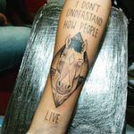 BOJACK !!! Wlady Tattoo, vem fazer um orçamento comigo pelo Whats (11) 95455-2985 !!! . . . . . #wladytattoo #boanoite #artenapele #arte #tattoos #tattoo #work #worktattoo #tattoosaopaulo #tattoobrasil #brazil #sp #tumblr #ilove #ilovetattoo #like #goodvibes #2019 #tbt #life #bojack #bojackhorseman #bojackhorsemanedit