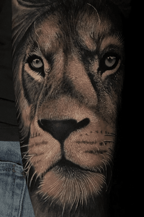 Realistic Lion Tattoo  Tattoo Designs Tattoo Pictures