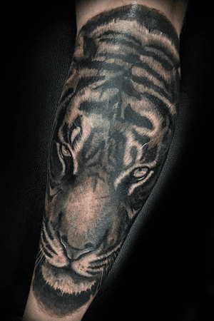 Tiger by @hobotattoo