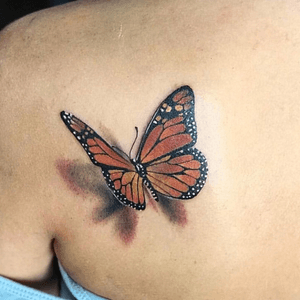 Realistic butterfly 🦋
