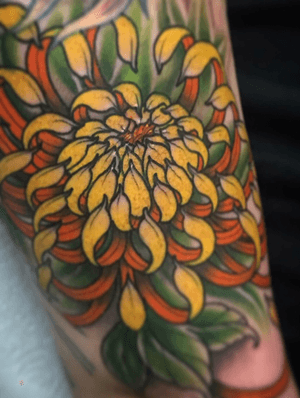 Close up of a colourful Japanese Chrysanthemum, by @bharpertattoo
