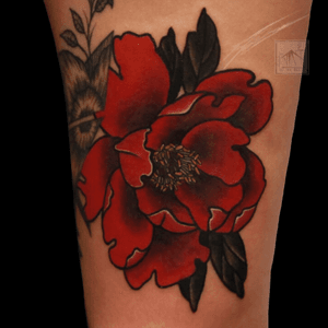 #colorpeony #peony #color #vibrant #floral #floraltattoo #peonys #style