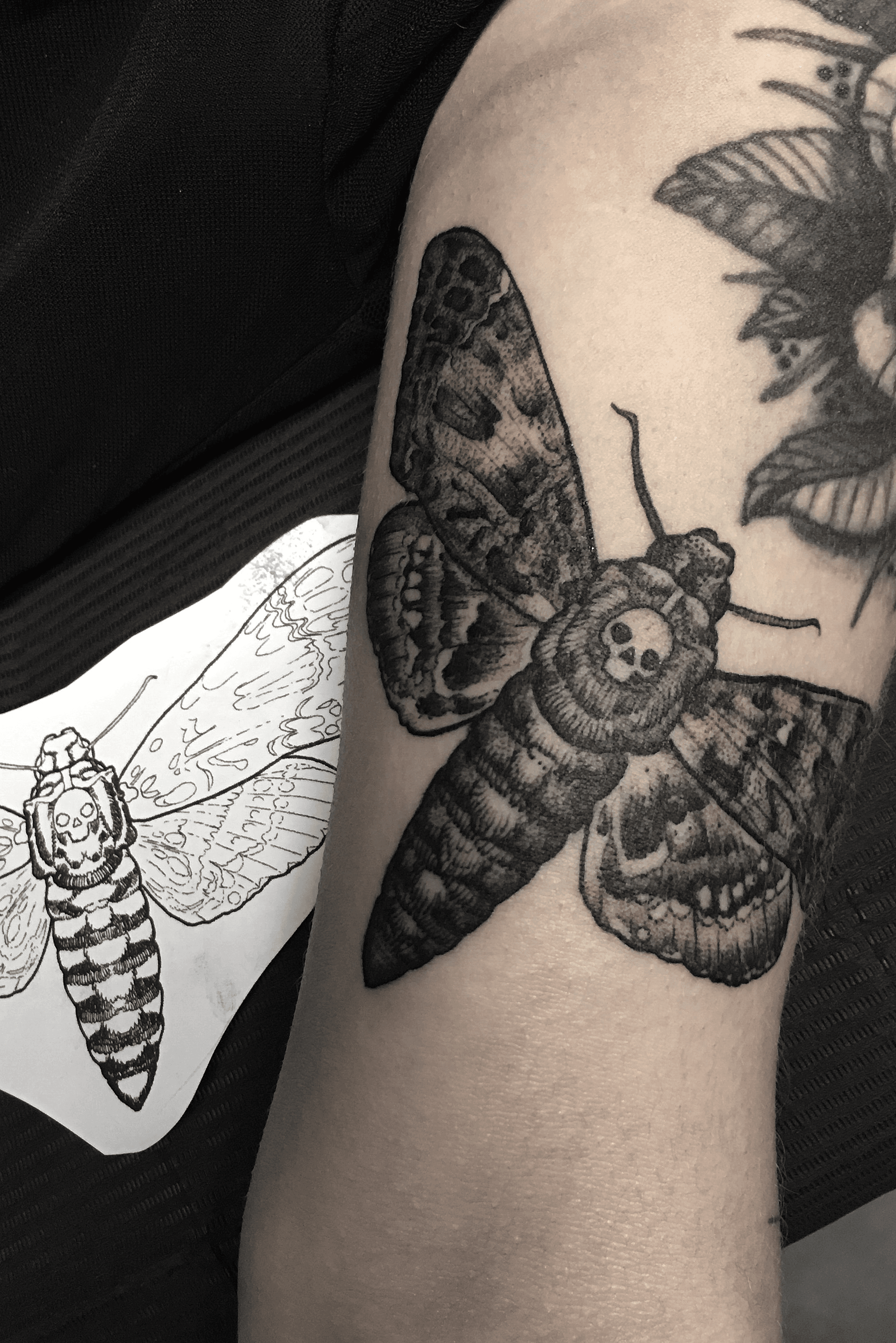 Top Death Moth Tattoo Stock Vectors Illustrations  Clip Art  iStock