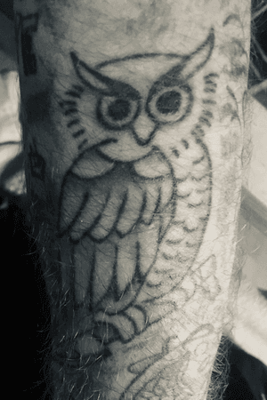 #owl