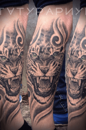 Realistik tiger, black and grey tattoo, from Russia, Belgorod 