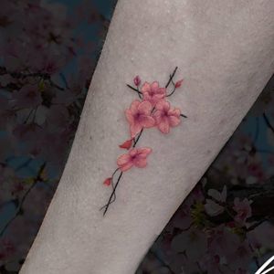 Instagram: @rusty_hstCustom flower piece #fineline #flowers #cross #cherryblossoms #smalltattoo #microtattoo #color #custom