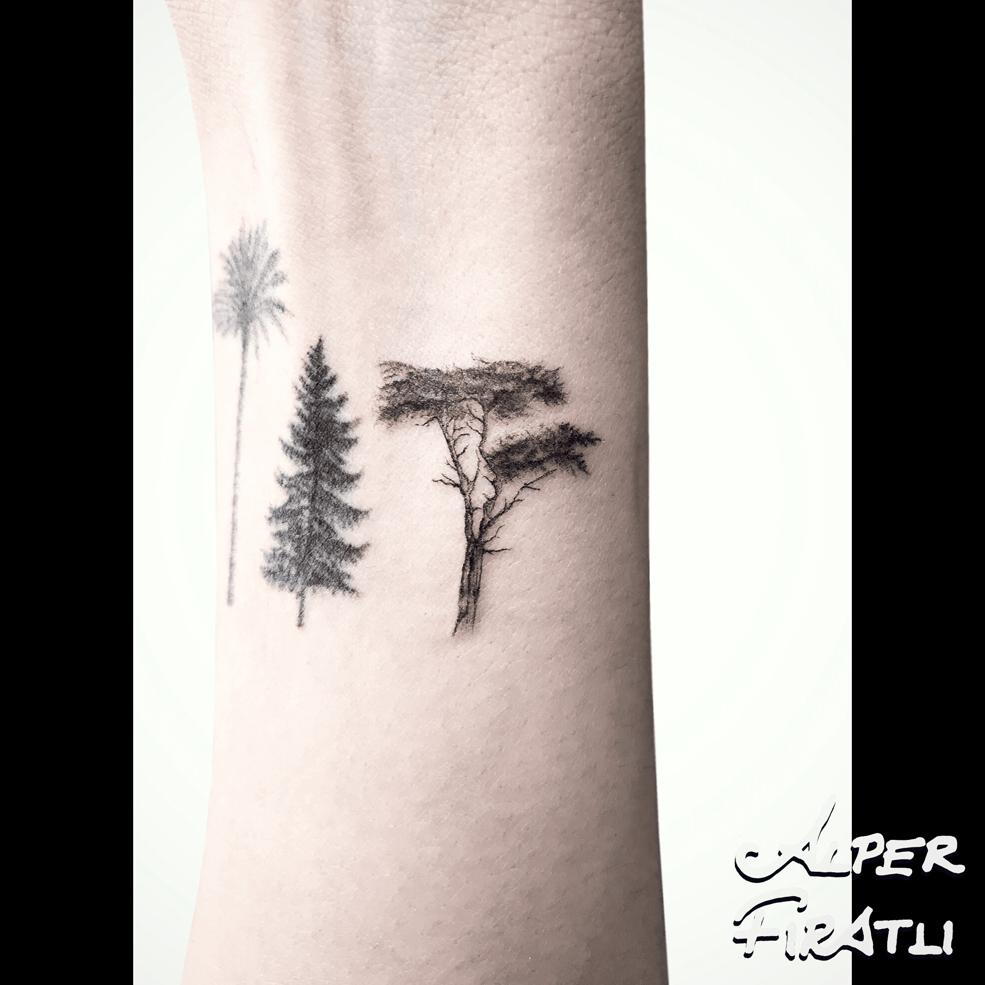 Tattoo uploaded by Alper FIRATLI • Lone cypress is no longer alone Palm & pine are healed . #pine #lonecypress #palmtrees #pinetreetattoo #minimal # tattoo #linework #tattooartist #tattooidea #art #tattooart #ink #inked #customtattoo #