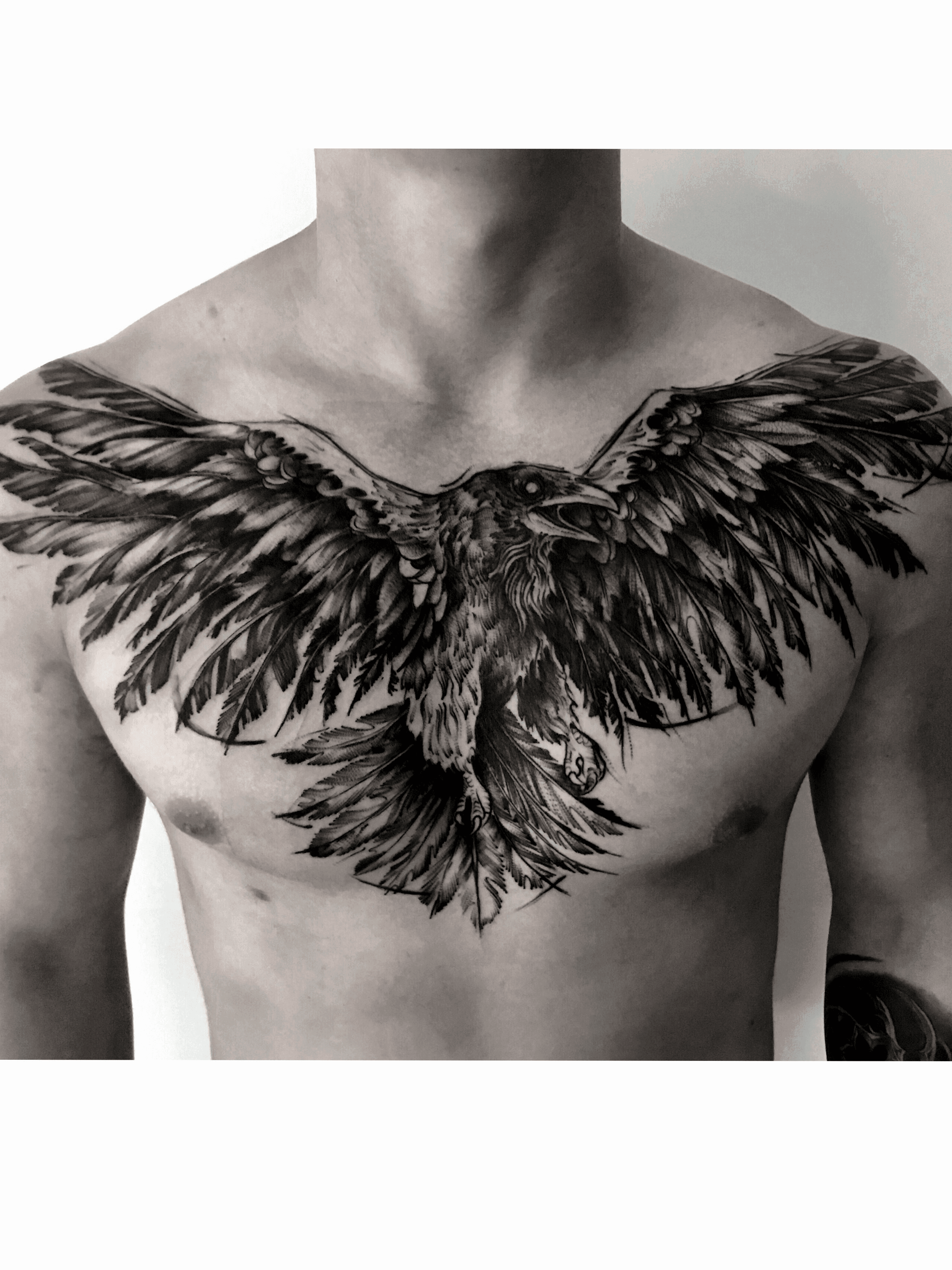 40 Traditional Crow Tattoo Designs For Men  Old School Birds  Cover up  tattoos for men Tattoos for guys Chest tattoo cover up