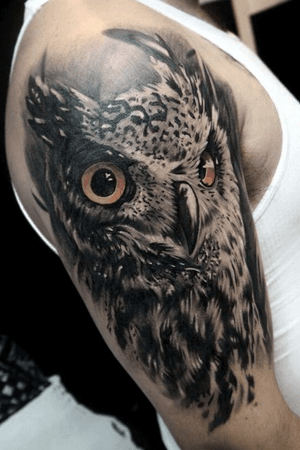 Owl by mr. No.