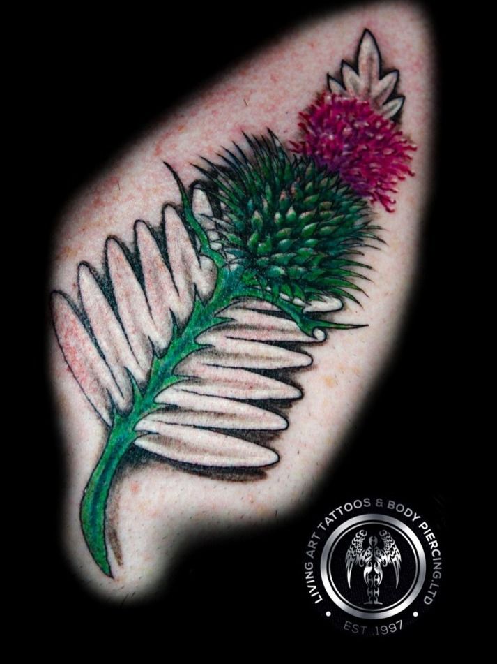 scottish thistle and english rose tattoo
