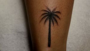 Cute banger palm tree