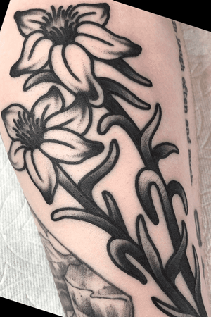 Prairie Zinnias from Isaac Combs at Chapter One in San Diego #blackwork #traditional #flowertattoo #blackandgray #sandiego