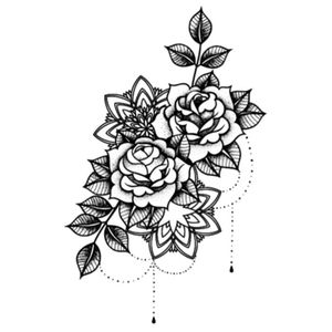 Roses draw 