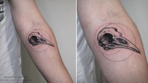 #tattoo #skulltattoo #birdskull #dotwork #darktattoo #animaltattoo #graphictattoo #ksennie_tattoo 