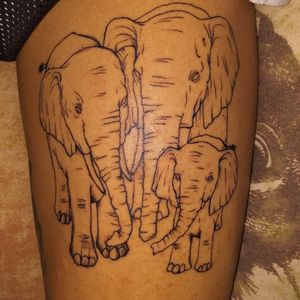 Familia de elefantes 