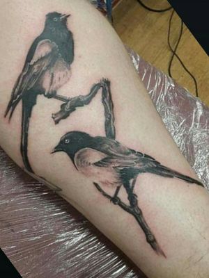 Magpies for George... #magpie #magpies #bird #birdtattoo #webofwyrd #wayofwyrd #rune #runes #runetattoo #norse #norsetattoo #viking #vikingtattoo #pict #picttattoo #pagan #pagantattoo #heathen #heathentattoo #woad #woadtattoo #woadblue #blackwork #blackworker 