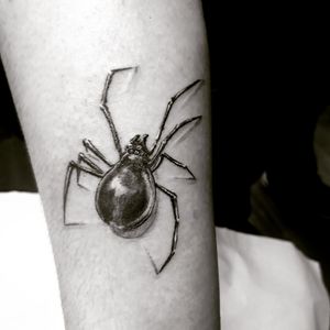 Tattoo by tattoo studio danilo