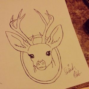 Deer Portrait by me #deer #portrait #outline #animal #nature