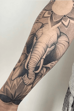 Elephant 7 hrs work by Camilo Marin