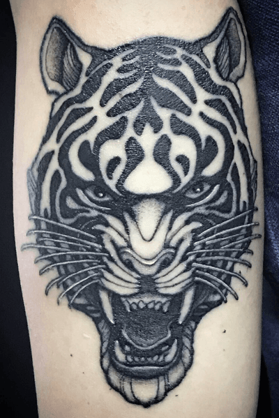 Freshly heal of a black & grey malayan tiger. Some distortion due to stretching from the tight sleeve.