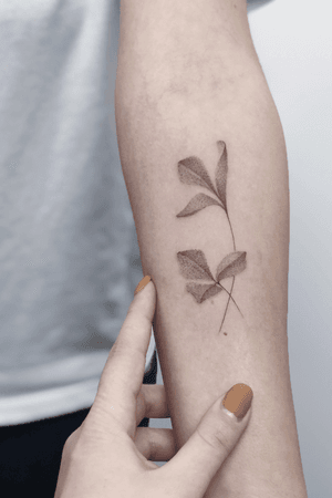 #tattoo  #minsktattoo  #graphic  #tomagematoma #linework #floraltattoo #floral #amsterdamtattoo  #dotwork #dotworktattoo #tattoominsk #barcelonatattoo #tattoobarcelona #bcnttt#hamburgtattoo #hamburg #berlin #bertintattoo #tattooberlin #kievtattoo #kiev #kyiv 
