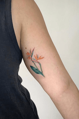 #flowertattoo #flower #botanicaltattoo #colorstattoo #colorful #watercolortattoos #watercolor  #smalltattoo  #dotworktattoos 