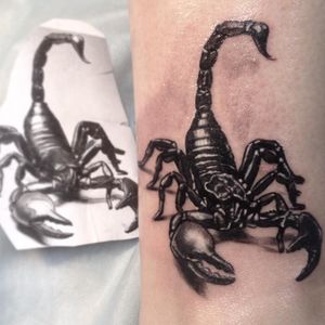 Small size scorpion on woman leg