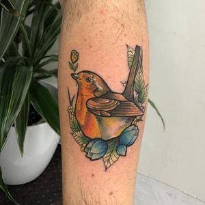 Neotraditional colour robin bird