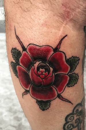 Traditional rose, to cover part of an old scar
