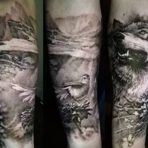 raponemarcoMountain inspiration. Full forearm 15 hours in 2 days. Done at Révélation Tattoo Studio of #northampton Thanks for the opportunity to work on this project!Done with #cheyennehawkthunder and #holygrailcartridges #realistictattoo #bestrealistictattoos #realisticdrawing #mountaintattoo #wolftattoos #wolftattoo #realisticwolf #inkedmag #cheyennefamily #madeforartists #tattoovegan #naturetattoo #besttattooartist