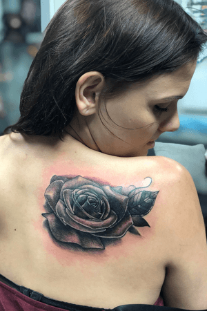 Cover Up with Rose