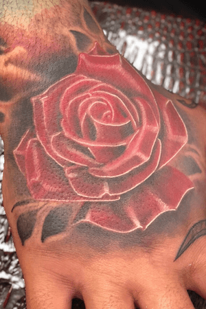 Color rose on hand