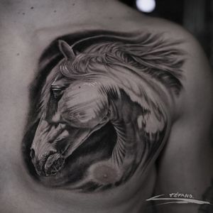 Tattoo by Stefano's Tattoo Studio