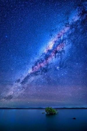 Photo on pinterest of the Milkyway galaxy over Wilson Beach, Australia. 