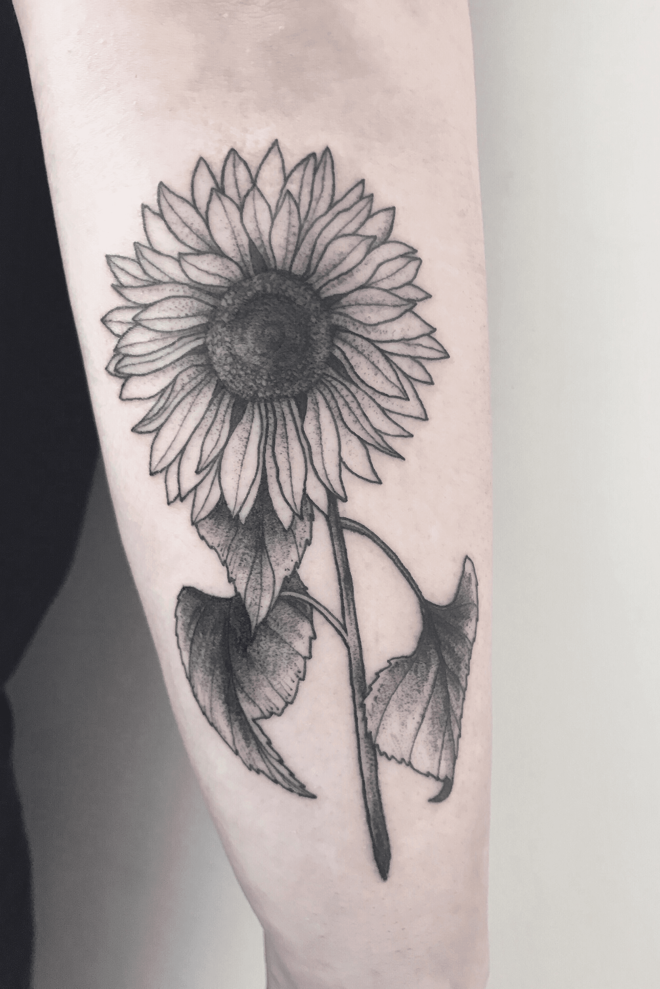 Update 81 fineline sunflower tattoo best  thtantai2