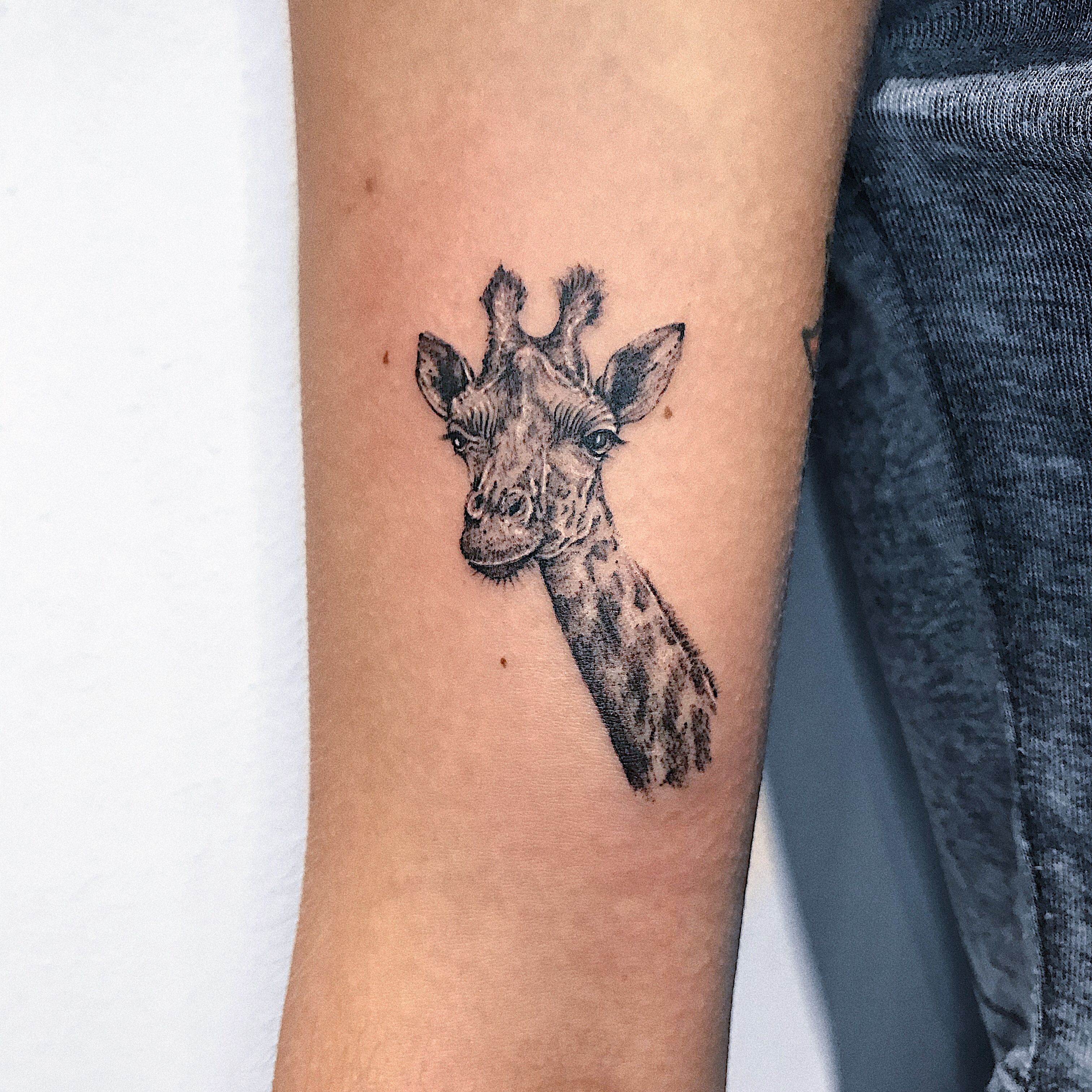 Tattoo Uploaded By Lucia Franze Tattoodo