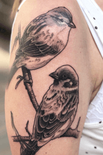 Would like to do more of this simple sketched pieces 🙂 @green_pearl_tattoo #melfortat #greenpearltattoo #braunschweigtattoo #dermalizepro #silverbackink #inkjecta #dankubin #hustlebutter #tattoo #tattoos #tttism #ink #inked #bnginksociety #tattoolife #tattoolovers #inkstagram #blackandgreyrealism #tattoooftheday #Braunschweig #hannovertattoo #hannover #tattoodesign #inkjunkeyz 